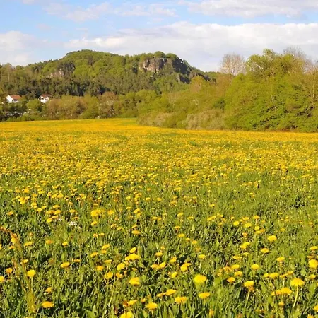 Near Eifel Lift Копп