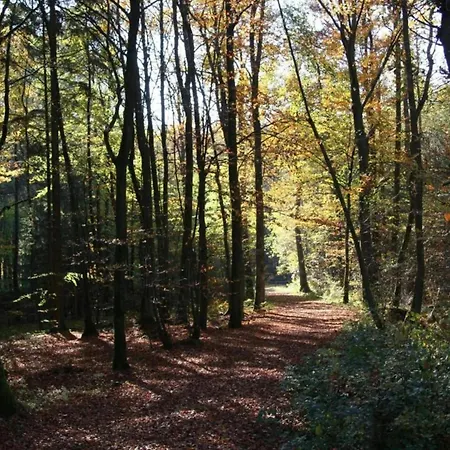 Near Eifel Lift בית נופש *