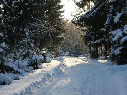 Near Eifel Lift Dom wakacyjny