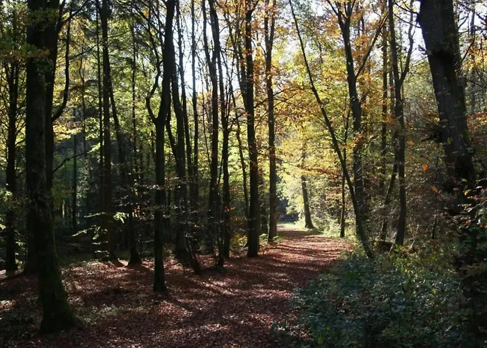 Near Eifel Lift Dom wakacyjny *